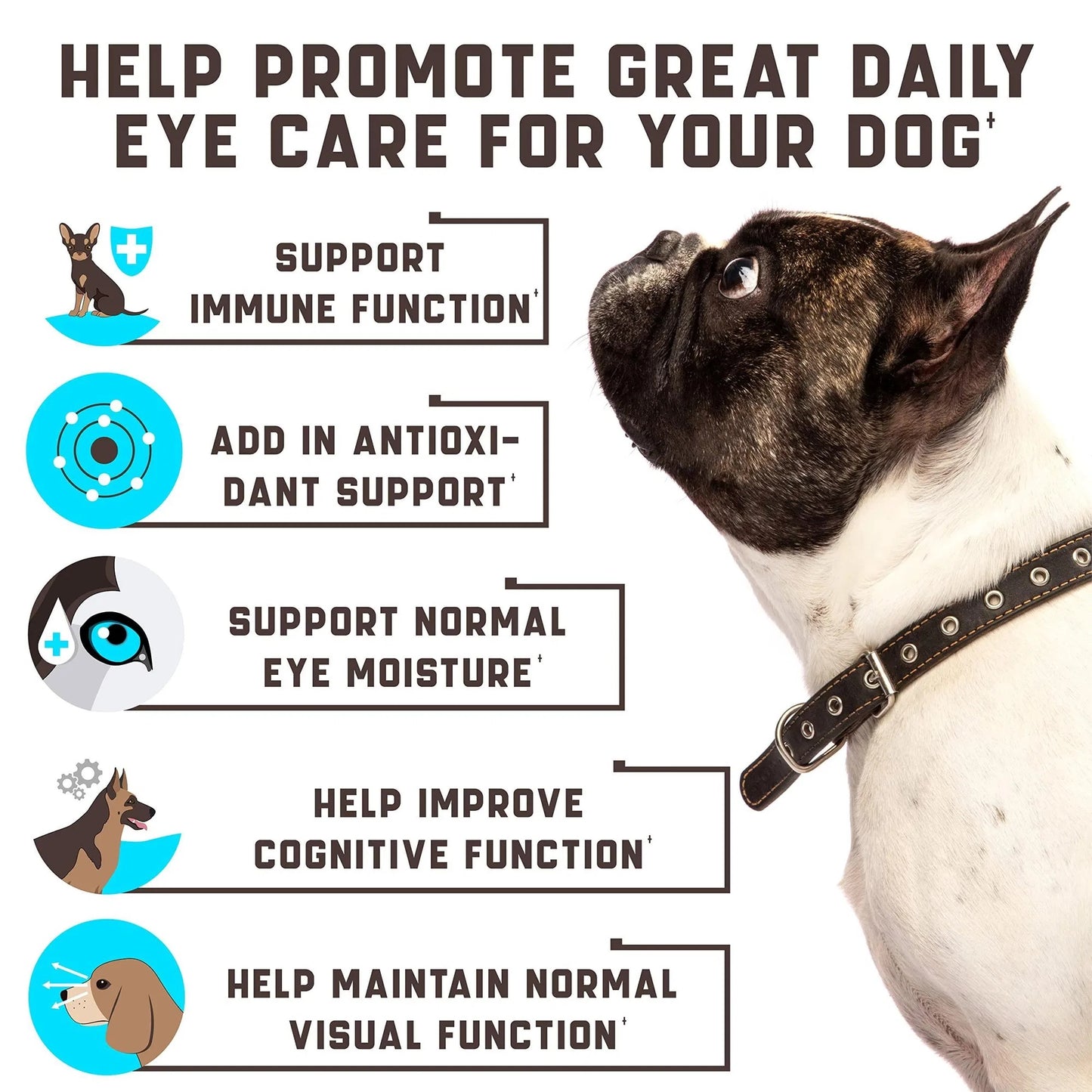 Do Not Sell On Amazon Eye Vitamins For Dogs Dog Vision Supplement For Tear Stains Dog Eye Care Immune Support Vitamin