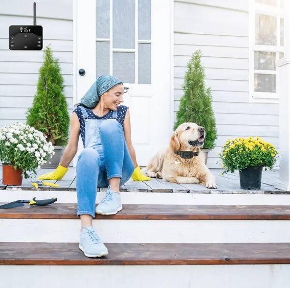 Wireless Electric Dog Fence Waterproof Pet Shock Boundary Containment System Electric Training Collar For Small Medium Large Dogs